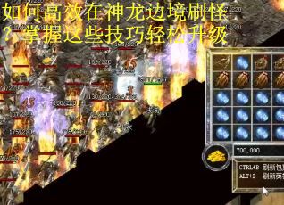 如何高效在神龙边境刷怪？掌握这些技巧轻松升级