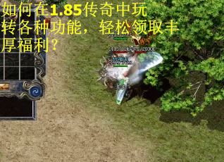 如何在1.85传奇中玩转各种功能，轻松领取丰厚福利？