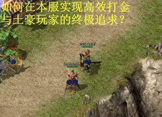 如何在本服实现高效打金与土豪玩家的终极追求? 如何在本服实现高效打金与土豪玩家的终极追求?