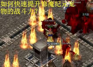 如何快速提升修魔纪元宠物的战斗力？