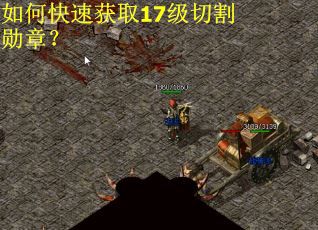 如何快速获取17级切割勋章？