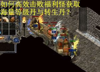 如何高效击败福利怪获取海量等级丹与转生丹？