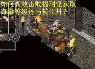 如何高效击败福利怪获取海量等级丹与转生丹？