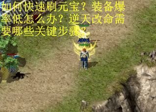 如何快速刷元宝？装备爆率低怎么办？逆天改命需要哪些关键步骤？